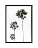 Palm Trees Art Print-PRINT-Olive et Oriel-Olive et Oriel-A5 | 5.8" x 8.3" | 14.8 x 21cm-Black-With White Border-Buy-Australian-Art-Prints-Online-with-Olive-et-Oriel-Your-Artwork-Specialists-Austrailia-Decorate-With-Coastal-Photo-Wall-Art-Prints-From-Our-Beach-House-Artwork-Collection-Fine-Poster-and-Framed-Artwork