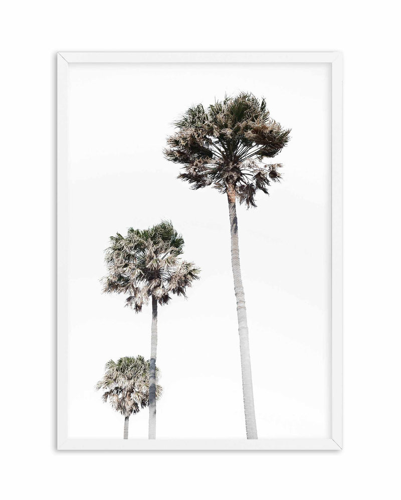 Palm Trees Art Print-PRINT-Olive et Oriel-Olive et Oriel-A5 | 5.8" x 8.3" | 14.8 x 21cm-White-With White Border-Buy-Australian-Art-Prints-Online-with-Olive-et-Oriel-Your-Artwork-Specialists-Austrailia-Decorate-With-Coastal-Photo-Wall-Art-Prints-From-Our-Beach-House-Artwork-Collection-Fine-Poster-and-Framed-Artwork