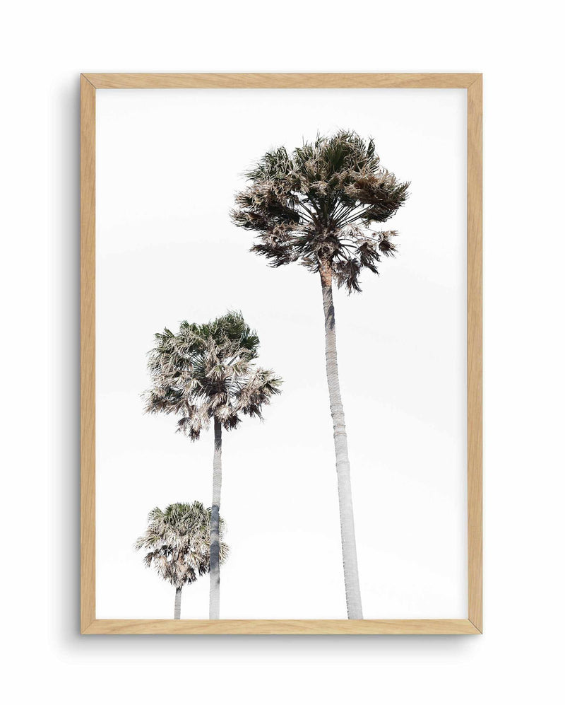 Palm Trees Art Print-PRINT-Olive et Oriel-Olive et Oriel-A5 | 5.8" x 8.3" | 14.8 x 21cm-Oak-With White Border-Buy-Australian-Art-Prints-Online-with-Olive-et-Oriel-Your-Artwork-Specialists-Austrailia-Decorate-With-Coastal-Photo-Wall-Art-Prints-From-Our-Beach-House-Artwork-Collection-Fine-Poster-and-Framed-Artwork