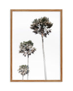 Palm Trees Art Print-PRINT-Olive et Oriel-Olive et Oriel-50x70 cm | 19.6" x 27.5"-Walnut-With White Border-Buy-Australian-Art-Prints-Online-with-Olive-et-Oriel-Your-Artwork-Specialists-Austrailia-Decorate-With-Coastal-Photo-Wall-Art-Prints-From-Our-Beach-House-Artwork-Collection-Fine-Poster-and-Framed-Artwork