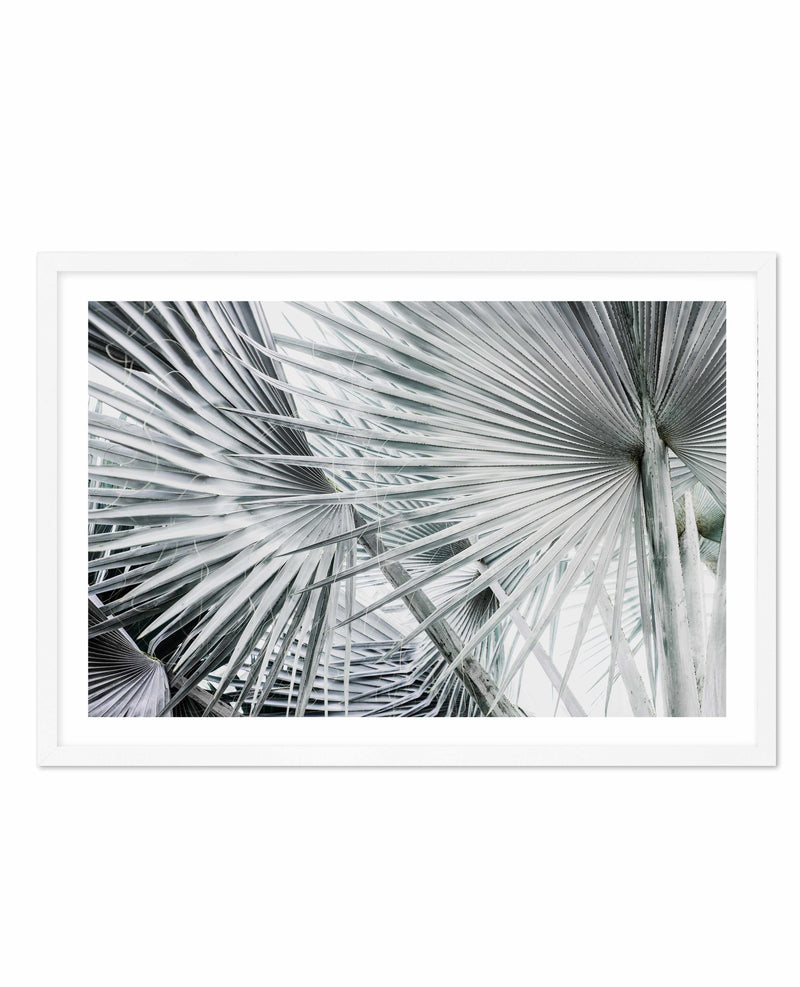 Palmier | LS Art Print-PRINT-Olive et Oriel-Olive et Oriel-A4 | 8.3" x 11.7" | 21 x 29.7cm-White-With White Border-Buy-Australian-Art-Prints-Online-with-Olive-et-Oriel-Your-Artwork-Specialists-Austrailia-Decorate-With-Coastal-Photo-Wall-Art-Prints-From-Our-Beach-House-Artwork-Collection-Fine-Poster-and-Framed-Artwork