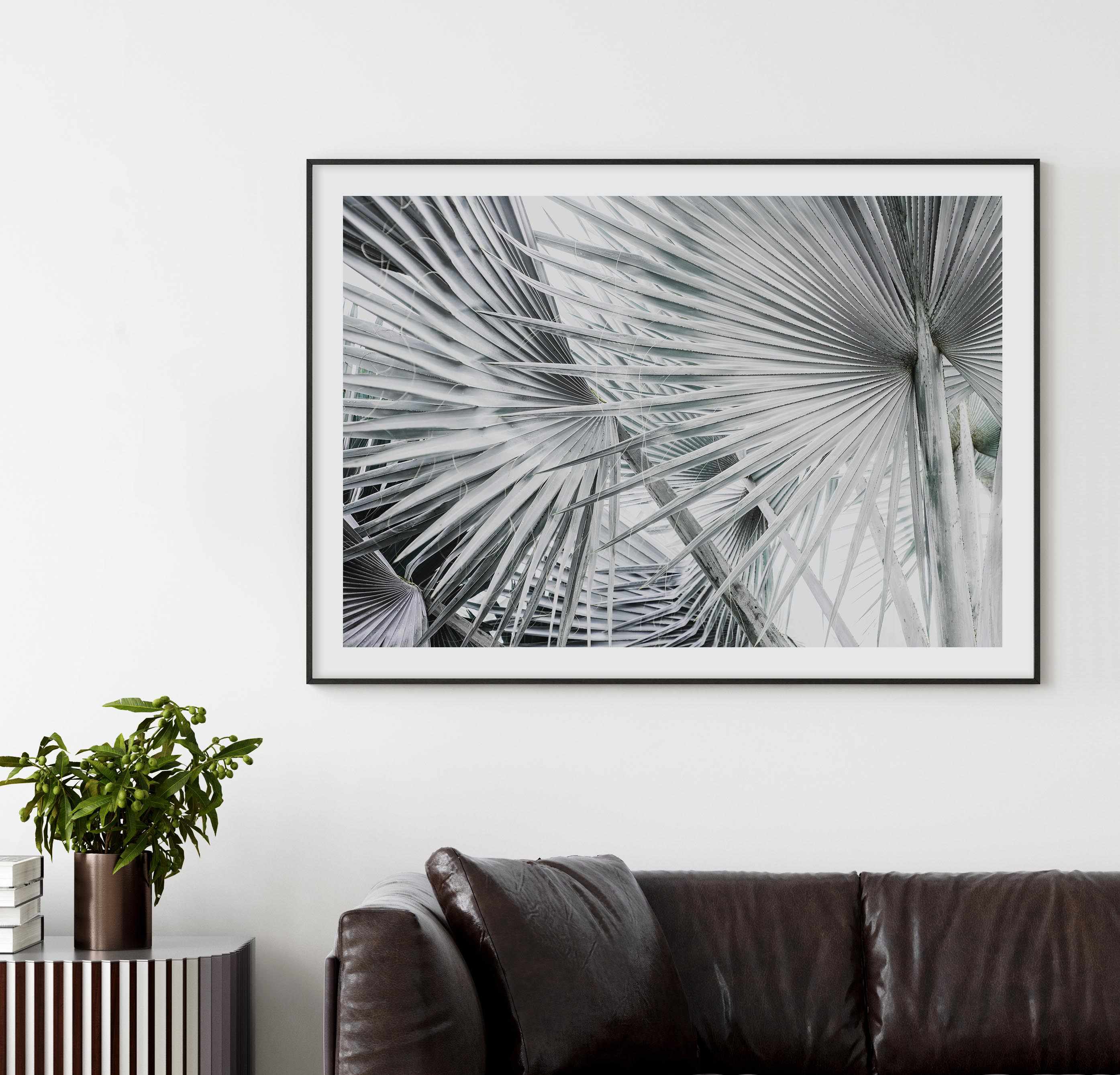 Palmier | LS Art Print-PRINT-Olive et Oriel-Olive et Oriel-Buy-Australian-Art-Prints-Online-with-Olive-et-Oriel-Your-Artwork-Specialists-Austrailia-Decorate-With-Coastal-Photo-Wall-Art-Prints-From-Our-Beach-House-Artwork-Collection-Fine-Poster-and-Framed-Artwork