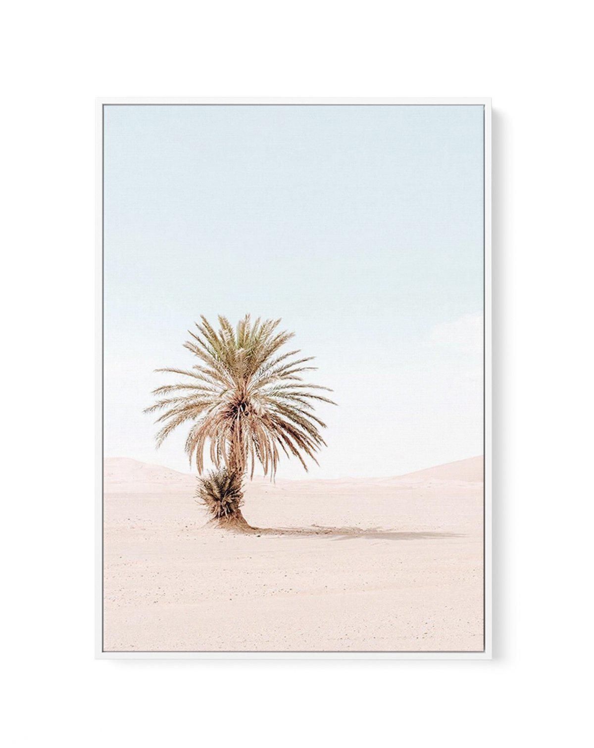 Palms of Morocco I | Framed Canvas-CANVAS-You can shop wall art online with Olive et Oriel for everything from abstract art to fun kids wall art. Our beautiful modern art prints and canvas art are available from large canvas prints to wall art paintings and our proudly Australian artwork collection offers only the highest quality framed large wall art and canvas art Australia - You can buy fashion photography prints or Hampton print posters and paintings on canvas from Olive et Oriel and have th