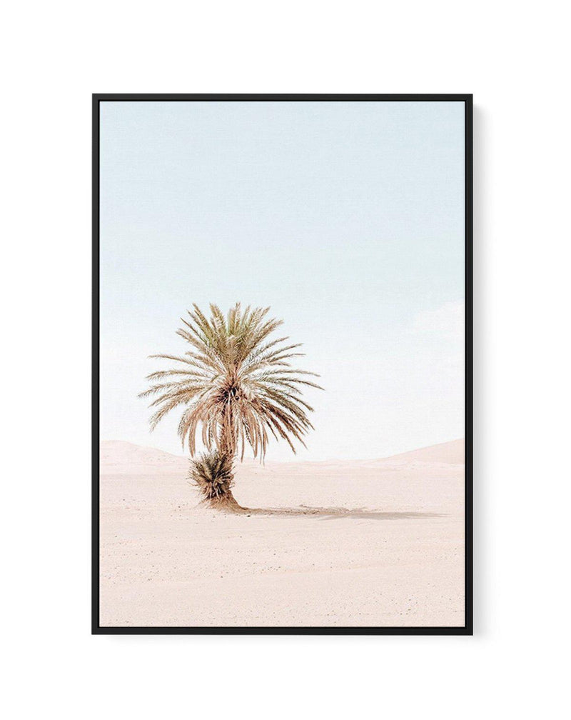 Palms of Morocco I | Framed Canvas-CANVAS-You can shop wall art online with Olive et Oriel for everything from abstract art to fun kids wall art. Our beautiful modern art prints and canvas art are available from large canvas prints to wall art paintings and our proudly Australian artwork collection offers only the highest quality framed large wall art and canvas art Australia - You can buy fashion photography prints or Hampton print posters and paintings on canvas from Olive et Oriel and have th