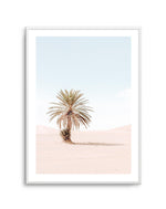 Palms of Morocco I Art Print-PRINT-Olive et Oriel-Olive et Oriel-A5 | 5.8" x 8.3" | 14.8 x 21cm-Unframed Art Print-With White Border-Buy-Australian-Art-Prints-Online-with-Olive-et-Oriel-Your-Artwork-Specialists-Austrailia-Decorate-With-Coastal-Photo-Wall-Art-Prints-From-Our-Beach-House-Artwork-Collection-Fine-Poster-and-Framed-Artwork