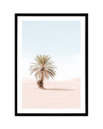 Palms of Morocco I Art Print-PRINT-Olive et Oriel-Olive et Oriel-A5 | 5.8" x 8.3" | 14.8 x 21cm-Black-With White Border-Buy-Australian-Art-Prints-Online-with-Olive-et-Oriel-Your-Artwork-Specialists-Austrailia-Decorate-With-Coastal-Photo-Wall-Art-Prints-From-Our-Beach-House-Artwork-Collection-Fine-Poster-and-Framed-Artwork