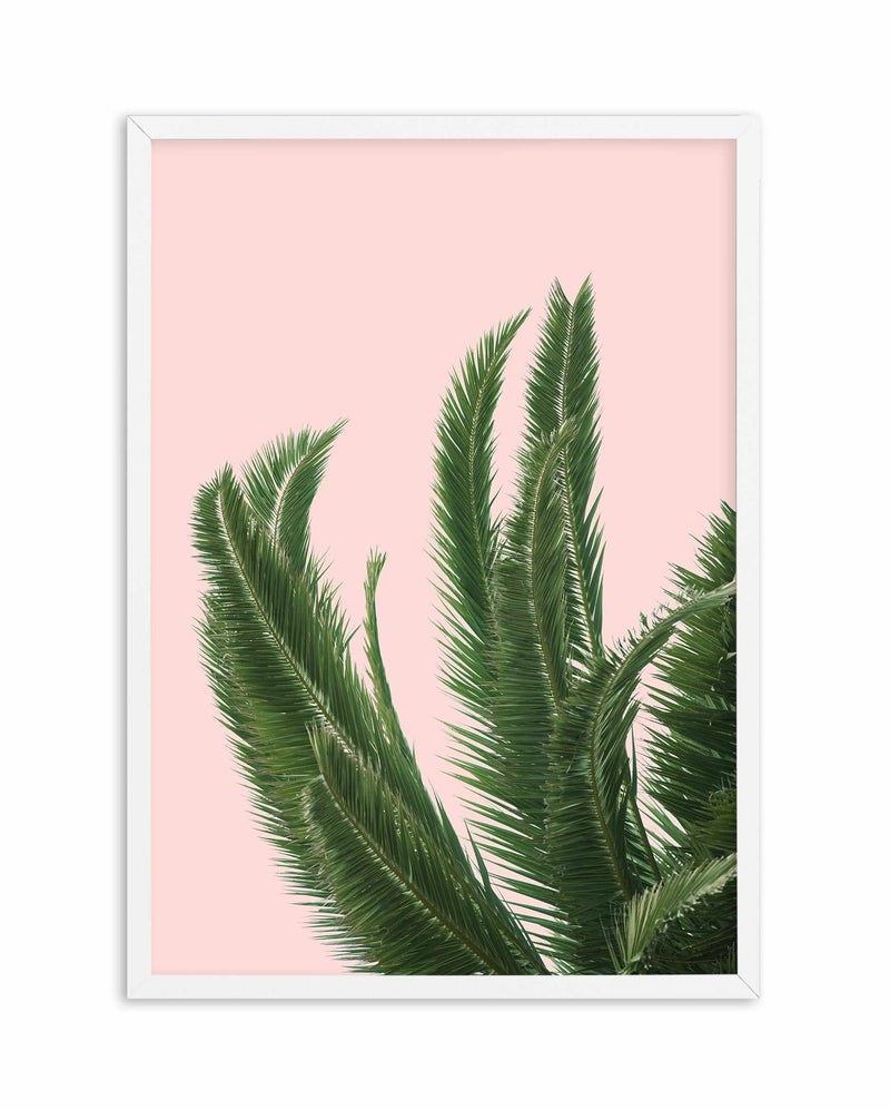 Palms on Pink Art Print-PRINT-Olive et Oriel-Olive et Oriel-A4 | 8.3" x 11.7" | 21 x 29.7cm-White-With White Border-Buy-Australian-Art-Prints-Online-with-Olive-et-Oriel-Your-Artwork-Specialists-Austrailia-Decorate-With-Coastal-Photo-Wall-Art-Prints-From-Our-Beach-House-Artwork-Collection-Fine-Poster-and-Framed-Artwork