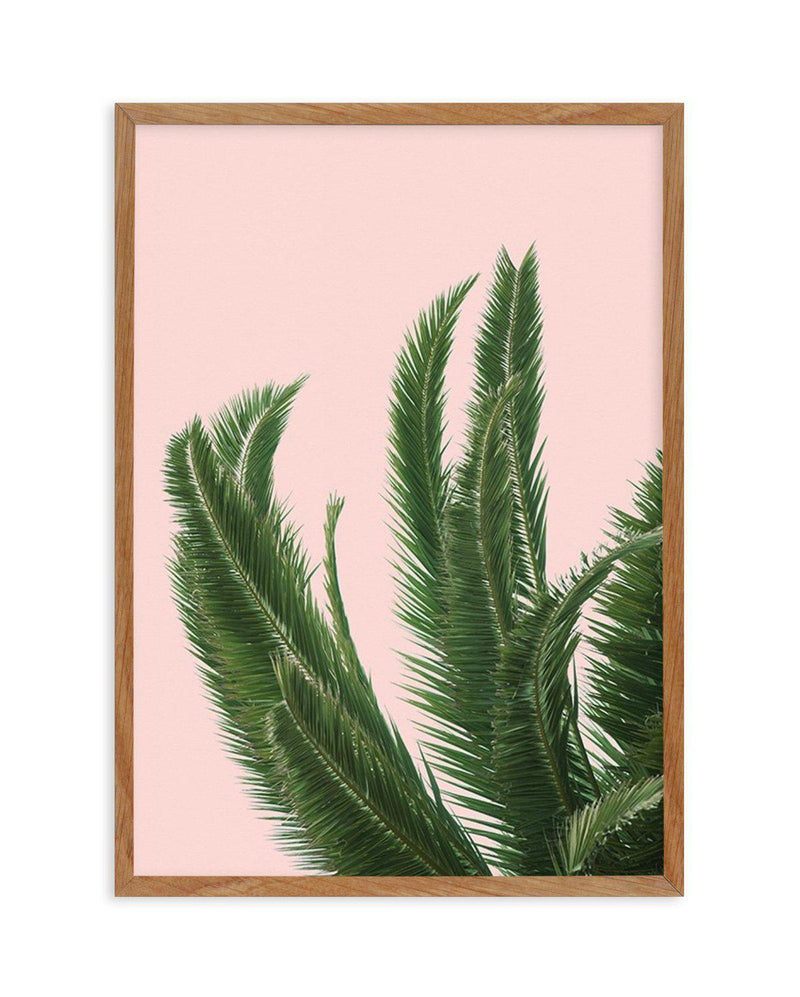 Palms on Pink Art Print-PRINT-Olive et Oriel-Olive et Oriel-50x70 cm | 19.6" x 27.5"-Walnut-With White Border-Buy-Australian-Art-Prints-Online-with-Olive-et-Oriel-Your-Artwork-Specialists-Austrailia-Decorate-With-Coastal-Photo-Wall-Art-Prints-From-Our-Beach-House-Artwork-Collection-Fine-Poster-and-Framed-Artwork