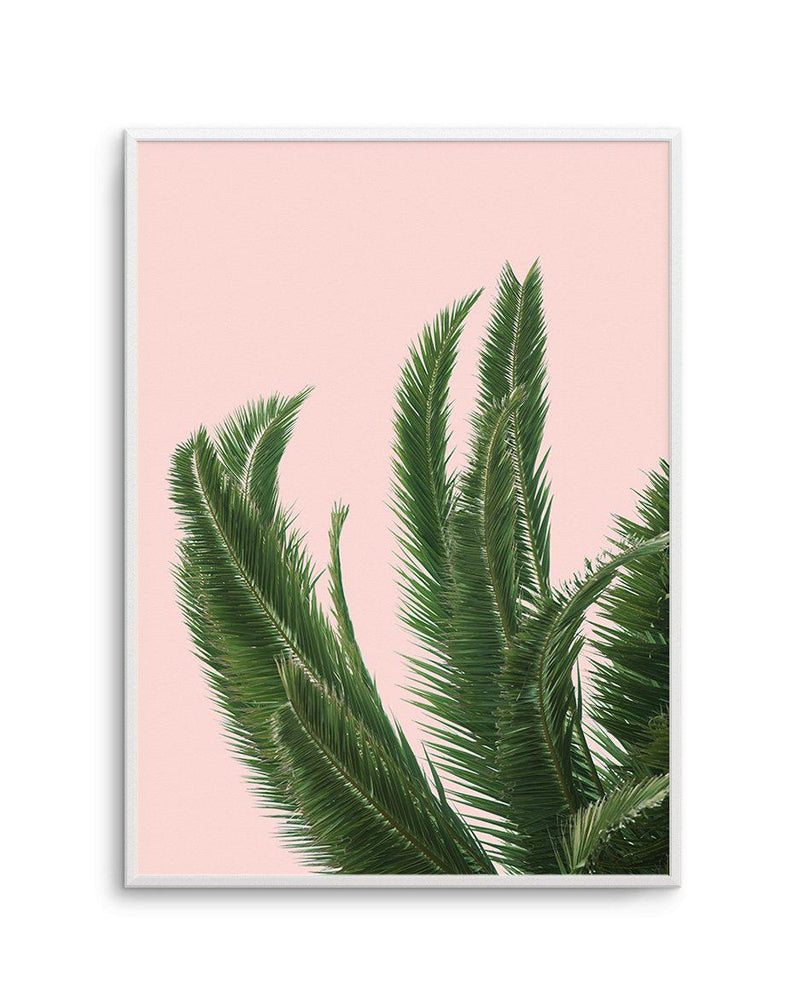 Palms on Pink Art Print-PRINT-Olive et Oriel-Olive et Oriel-A4 | 8.3" x 11.7" | 21 x 29.7cm-Unframed Art Print-With White Border-Buy-Australian-Art-Prints-Online-with-Olive-et-Oriel-Your-Artwork-Specialists-Austrailia-Decorate-With-Coastal-Photo-Wall-Art-Prints-From-Our-Beach-House-Artwork-Collection-Fine-Poster-and-Framed-Artwork