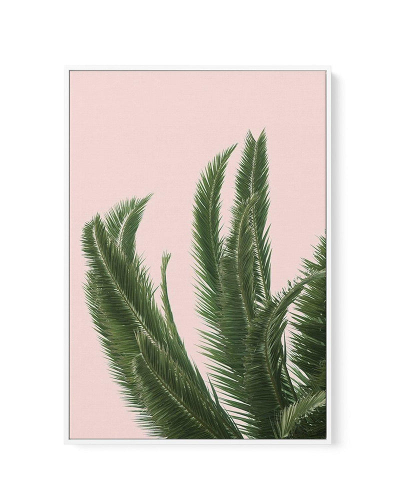 Palms on Pink | Framed Canvas-CANVAS-You can shop wall art online with Olive et Oriel for everything from abstract art to fun kids wall art. Our beautiful modern art prints and canvas art are available from large canvas prints to wall art paintings and our proudly Australian artwork collection offers only the highest quality framed large wall art and canvas art Australia - You can buy fashion photography prints or Hampton print posters and paintings on canvas from Olive et Oriel and have them de