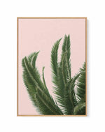 Palms on Pink | Framed Canvas Art Print
