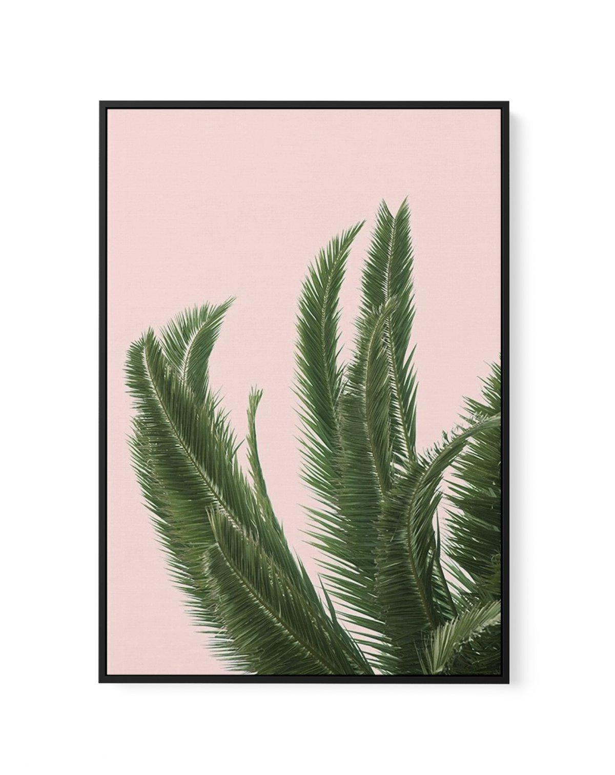 Palms on Pink | Framed Canvas-CANVAS-You can shop wall art online with Olive et Oriel for everything from abstract art to fun kids wall art. Our beautiful modern art prints and canvas art are available from large canvas prints to wall art paintings and our proudly Australian artwork collection offers only the highest quality framed large wall art and canvas art Australia - You can buy fashion photography prints or Hampton print posters and paintings on canvas from Olive et Oriel and have them de