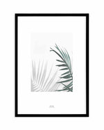 Palmy Day Art Print-PRINT-Olive et Oriel-Olive et Oriel-A4 | 8.3" x 11.7" | 21 x 29.7cm-Black-With White Border-Buy-Australian-Art-Prints-Online-with-Olive-et-Oriel-Your-Artwork-Specialists-Austrailia-Decorate-With-Coastal-Photo-Wall-Art-Prints-From-Our-Beach-House-Artwork-Collection-Fine-Poster-and-Framed-Artwork