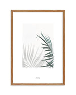 Palmy Day Art Print-PRINT-Olive et Oriel-Olive et Oriel-50x70 cm | 19.6" x 27.5"-Walnut-With White Border-Buy-Australian-Art-Prints-Online-with-Olive-et-Oriel-Your-Artwork-Specialists-Austrailia-Decorate-With-Coastal-Photo-Wall-Art-Prints-From-Our-Beach-House-Artwork-Collection-Fine-Poster-and-Framed-Artwork