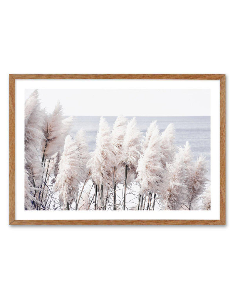 Pampas By The Sea Art Print-PRINT-Olive et Oriel-Olive et Oriel-Buy-Australian-Art-Prints-Online-with-Olive-et-Oriel-Your-Artwork-Specialists-Austrailia-Decorate-With-Coastal-Photo-Wall-Art-Prints-From-Our-Beach-House-Artwork-Collection-Fine-Poster-and-Framed-Artwork