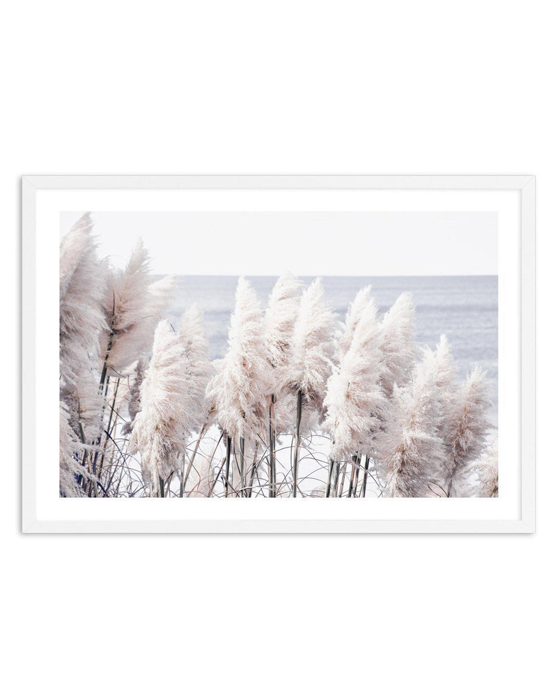 Pampas By The Sea Art Print-PRINT-Olive et Oriel-Olive et Oriel-A5 | 5.8" x 8.3" | 14.8 x 21cm-White-With White Border-Buy-Australian-Art-Prints-Online-with-Olive-et-Oriel-Your-Artwork-Specialists-Austrailia-Decorate-With-Coastal-Photo-Wall-Art-Prints-From-Our-Beach-House-Artwork-Collection-Fine-Poster-and-Framed-Artwork