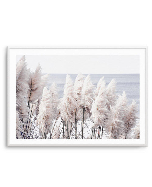 Pampas By The Sea Art Print-PRINT-Olive et Oriel-Olive et Oriel-A5 | 5.8" x 8.3" | 14.8 x 21cm-Unframed Art Print-With White Border-Buy-Australian-Art-Prints-Online-with-Olive-et-Oriel-Your-Artwork-Specialists-Austrailia-Decorate-With-Coastal-Photo-Wall-Art-Prints-From-Our-Beach-House-Artwork-Collection-Fine-Poster-and-Framed-Artwork
