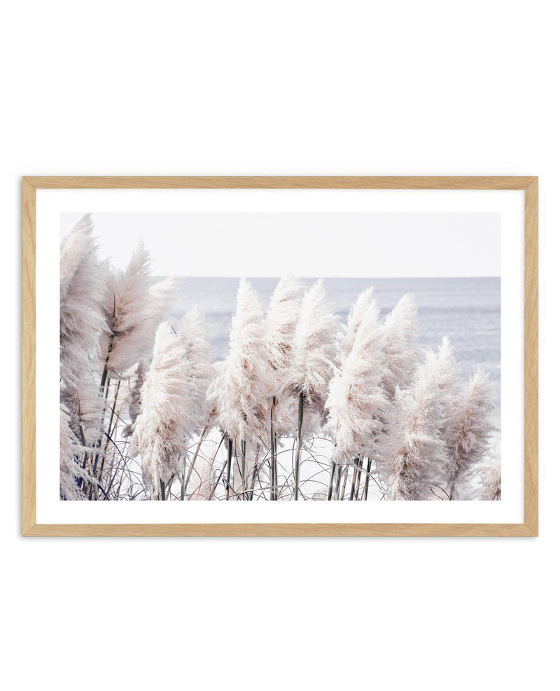 Pampas By The Sea Art Print-PRINT-Olive et Oriel-Olive et Oriel-A5 | 5.8" x 8.3" | 14.8 x 21cm-Oak-With White Border-Buy-Australian-Art-Prints-Online-with-Olive-et-Oriel-Your-Artwork-Specialists-Austrailia-Decorate-With-Coastal-Photo-Wall-Art-Prints-From-Our-Beach-House-Artwork-Collection-Fine-Poster-and-Framed-Artwork