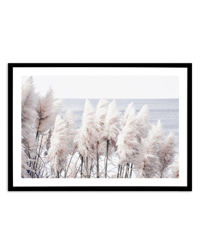 Pampas By The Sea Art Print-PRINT-Olive et Oriel-Olive et Oriel-A5 | 5.8" x 8.3" | 14.8 x 21cm-Black-With White Border-Buy-Australian-Art-Prints-Online-with-Olive-et-Oriel-Your-Artwork-Specialists-Austrailia-Decorate-With-Coastal-Photo-Wall-Art-Prints-From-Our-Beach-House-Artwork-Collection-Fine-Poster-and-Framed-Artwork