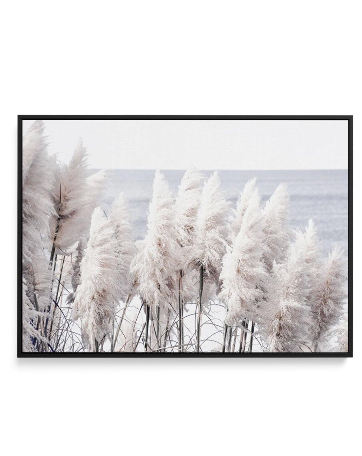 Pampas By The Sea | Framed Canvas-CANVAS-You can shop wall art online with Olive et Oriel for everything from abstract art to fun kids wall art. Our beautiful modern art prints and canvas art are available from large canvas prints to wall art paintings and our proudly Australian artwork collection offers only the highest quality framed large wall art and canvas art Australia - You can buy fashion photography prints or Hampton print posters and paintings on canvas from Olive et Oriel and have the