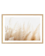 Pampas D'or Art Print-PRINT-Olive et Oriel-Olive et Oriel-A5 | 5.8" x 8.3" | 14.8 x 21cm-Oak-With White Border-Buy-Australian-Art-Prints-Online-with-Olive-et-Oriel-Your-Artwork-Specialists-Austrailia-Decorate-With-Coastal-Photo-Wall-Art-Prints-From-Our-Beach-House-Artwork-Collection-Fine-Poster-and-Framed-Artwork