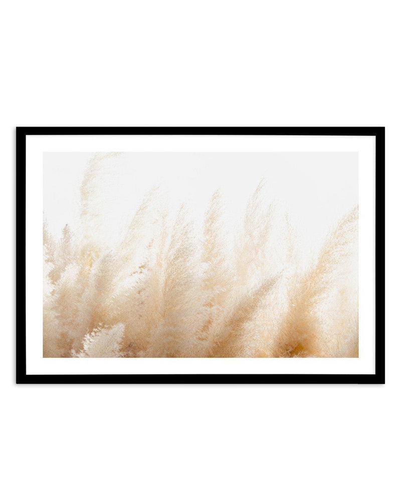 Pampas D'or Art Print-PRINT-Olive et Oriel-Olive et Oriel-A5 | 5.8" x 8.3" | 14.8 x 21cm-Black-With White Border-Buy-Australian-Art-Prints-Online-with-Olive-et-Oriel-Your-Artwork-Specialists-Austrailia-Decorate-With-Coastal-Photo-Wall-Art-Prints-From-Our-Beach-House-Artwork-Collection-Fine-Poster-and-Framed-Artwork