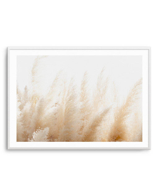 Pampas D'or Art Print-PRINT-Olive et Oriel-Olive et Oriel-A5 | 5.8" x 8.3" | 14.8 x 21cm-Unframed Art Print-With White Border-Buy-Australian-Art-Prints-Online-with-Olive-et-Oriel-Your-Artwork-Specialists-Austrailia-Decorate-With-Coastal-Photo-Wall-Art-Prints-From-Our-Beach-House-Artwork-Collection-Fine-Poster-and-Framed-Artwork