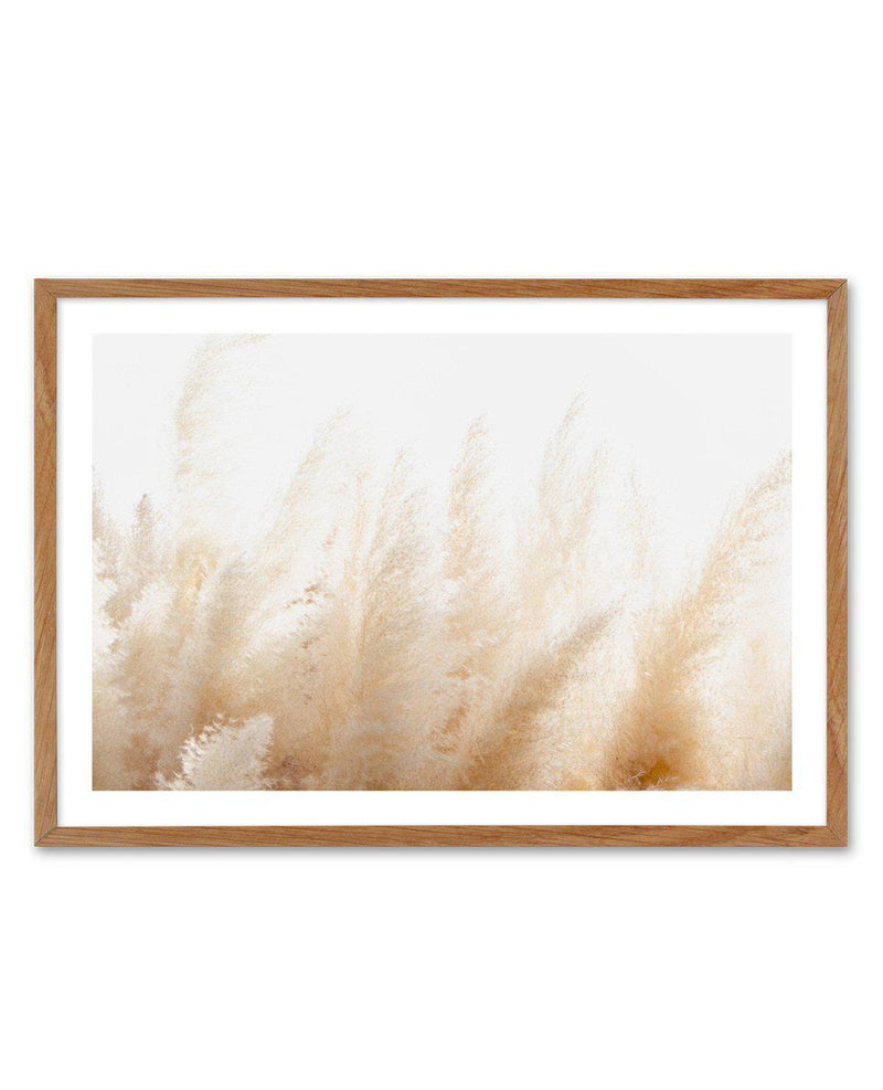 Pampas D'or Art Print-PRINT-Olive et Oriel-Olive et Oriel-Buy-Australian-Art-Prints-Online-with-Olive-et-Oriel-Your-Artwork-Specialists-Austrailia-Decorate-With-Coastal-Photo-Wall-Art-Prints-From-Our-Beach-House-Artwork-Collection-Fine-Poster-and-Framed-Artwork