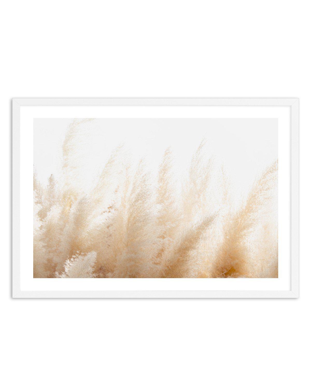 Pampas D'or Art Print-PRINT-Olive et Oriel-Olive et Oriel-A5 | 5.8" x 8.3" | 14.8 x 21cm-White-With White Border-Buy-Australian-Art-Prints-Online-with-Olive-et-Oriel-Your-Artwork-Specialists-Austrailia-Decorate-With-Coastal-Photo-Wall-Art-Prints-From-Our-Beach-House-Artwork-Collection-Fine-Poster-and-Framed-Artwork