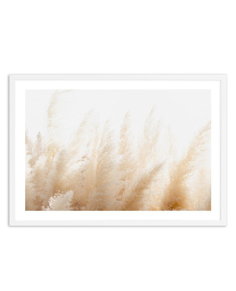 Pampas D'or Art Print-PRINT-Olive et Oriel-Olive et Oriel-A5 | 5.8" x 8.3" | 14.8 x 21cm-White-With White Border-Buy-Australian-Art-Prints-Online-with-Olive-et-Oriel-Your-Artwork-Specialists-Austrailia-Decorate-With-Coastal-Photo-Wall-Art-Prints-From-Our-Beach-House-Artwork-Collection-Fine-Poster-and-Framed-Artwork