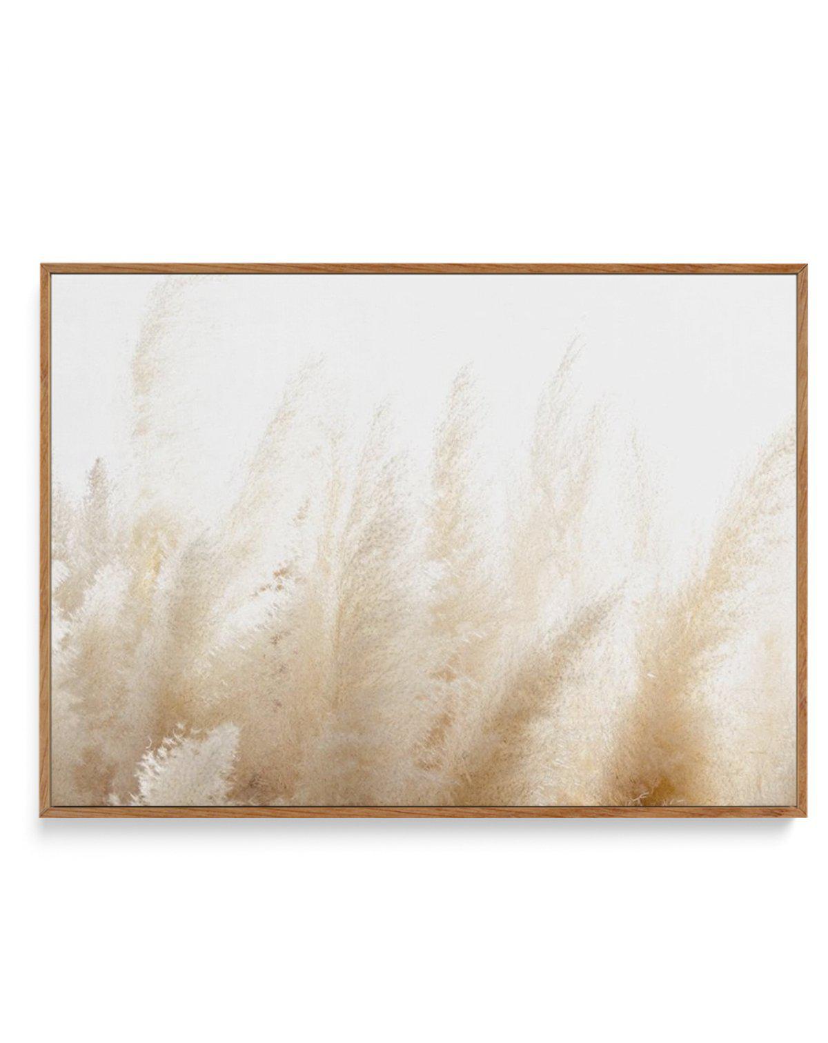 Pampas D'or | Framed Canvas-CANVAS-You can shop wall art online with Olive et Oriel for everything from abstract art to fun kids wall art. Our beautiful modern art prints and canvas art are available from large canvas prints to wall art paintings and our proudly Australian artwork collection offers only the highest quality framed large wall art and canvas art Australia - You can buy fashion photography prints or Hampton print posters and paintings on canvas from Olive et Oriel and have them deli