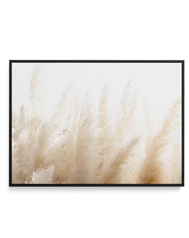Pampas D'or | Framed Canvas-CANVAS-You can shop wall art online with Olive et Oriel for everything from abstract art to fun kids wall art. Our beautiful modern art prints and canvas art are available from large canvas prints to wall art paintings and our proudly Australian artwork collection offers only the highest quality framed large wall art and canvas art Australia - You can buy fashion photography prints or Hampton print posters and paintings on canvas from Olive et Oriel and have them deli