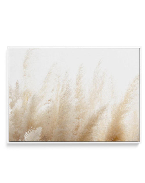 Pampas D'or | Framed Canvas-CANVAS-You can shop wall art online with Olive et Oriel for everything from abstract art to fun kids wall art. Our beautiful modern art prints and canvas art are available from large canvas prints to wall art paintings and our proudly Australian artwork collection offers only the highest quality framed large wall art and canvas art Australia - You can buy fashion photography prints or Hampton print posters and paintings on canvas from Olive et Oriel and have them deli