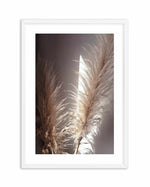 Pampas en Noir Art Print-PRINT-Olive et Oriel-Olive et Oriel-A4 | 8.3" x 11.7" | 21 x 29.7cm-White-With White Border-Buy-Australian-Art-Prints-Online-with-Olive-et-Oriel-Your-Artwork-Specialists-Austrailia-Decorate-With-Coastal-Photo-Wall-Art-Prints-From-Our-Beach-House-Artwork-Collection-Fine-Poster-and-Framed-Artwork