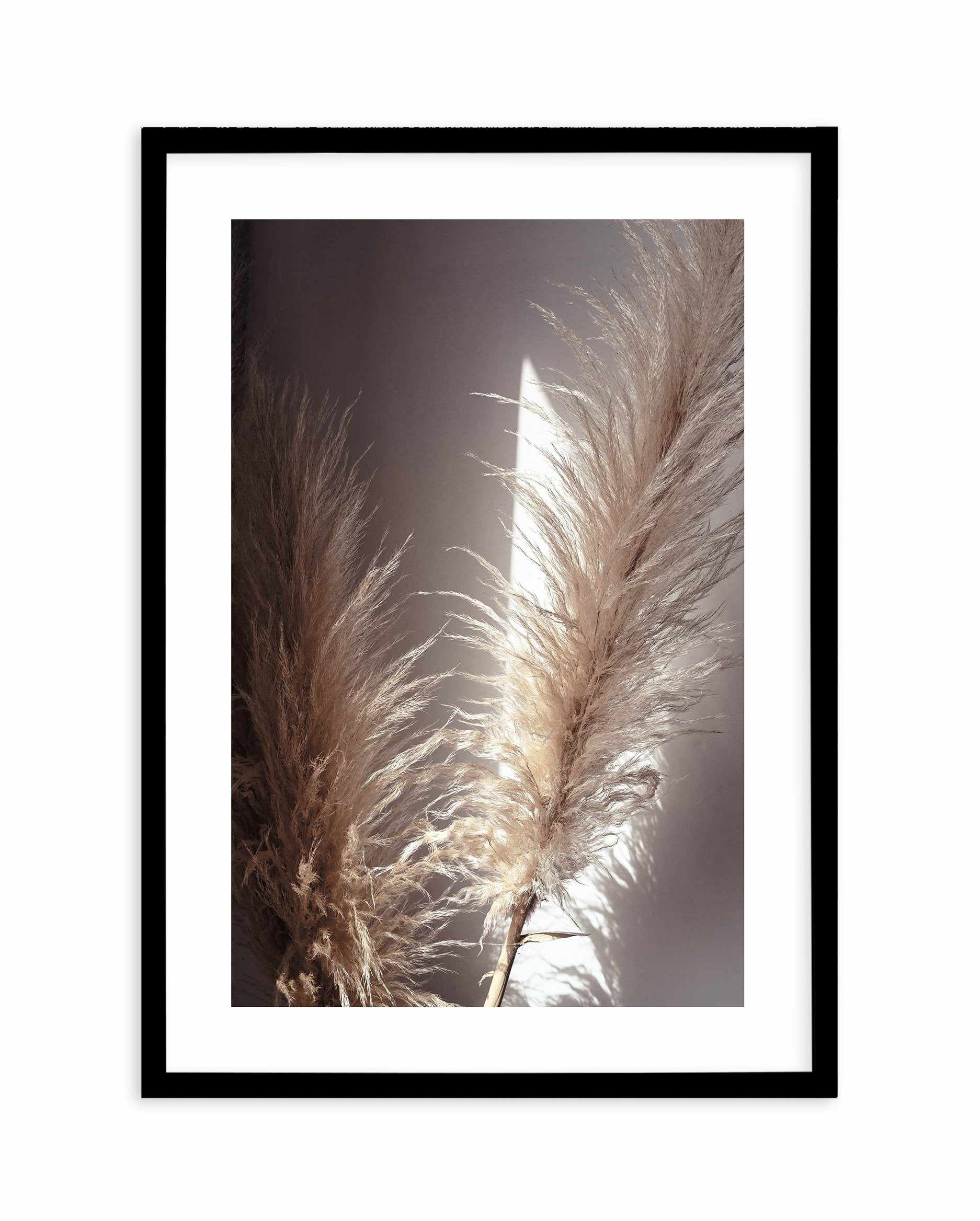 Pampas en Noir Art Print-PRINT-Olive et Oriel-Olive et Oriel-A4 | 8.3" x 11.7" | 21 x 29.7cm-Black-With White Border-Buy-Australian-Art-Prints-Online-with-Olive-et-Oriel-Your-Artwork-Specialists-Austrailia-Decorate-With-Coastal-Photo-Wall-Art-Prints-From-Our-Beach-House-Artwork-Collection-Fine-Poster-and-Framed-Artwork