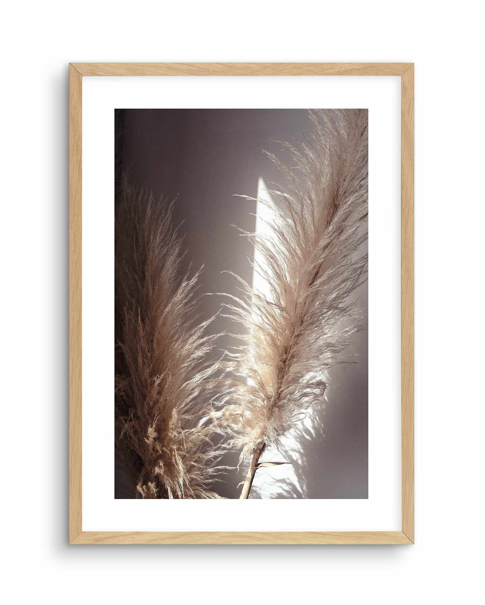 Pampas en Noir Art Print-PRINT-Olive et Oriel-Olive et Oriel-A4 | 8.3" x 11.7" | 21 x 29.7cm-Oak-With White Border-Buy-Australian-Art-Prints-Online-with-Olive-et-Oriel-Your-Artwork-Specialists-Austrailia-Decorate-With-Coastal-Photo-Wall-Art-Prints-From-Our-Beach-House-Artwork-Collection-Fine-Poster-and-Framed-Artwork