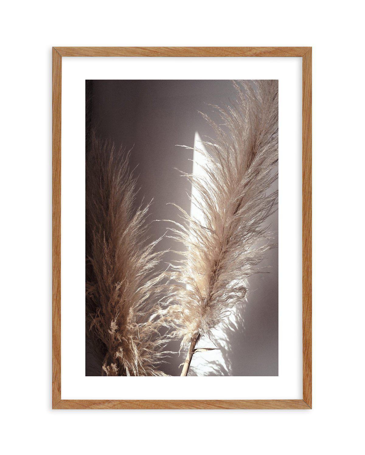 Pampas en Noir Art Print-PRINT-Olive et Oriel-Olive et Oriel-50x70 cm | 19.6" x 27.5"-Walnut-With White Border-Buy-Australian-Art-Prints-Online-with-Olive-et-Oriel-Your-Artwork-Specialists-Austrailia-Decorate-With-Coastal-Photo-Wall-Art-Prints-From-Our-Beach-House-Artwork-Collection-Fine-Poster-and-Framed-Artwork