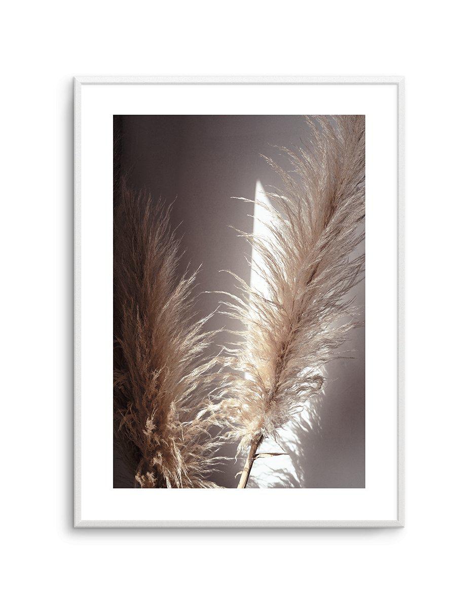 Pampas en Noir Art Print-PRINT-Olive et Oriel-Olive et Oriel-A4 | 8.3" x 11.7" | 21 x 29.7cm-Unframed Art Print-With White Border-Buy-Australian-Art-Prints-Online-with-Olive-et-Oriel-Your-Artwork-Specialists-Austrailia-Decorate-With-Coastal-Photo-Wall-Art-Prints-From-Our-Beach-House-Artwork-Collection-Fine-Poster-and-Framed-Artwork