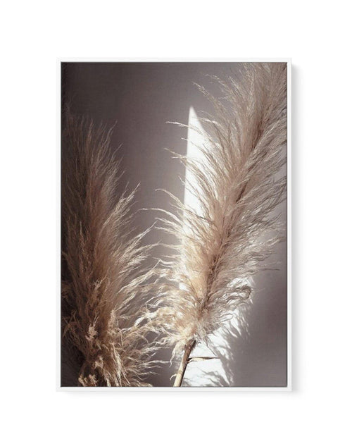 Pampas en Noir | Framed Canvas-CANVAS-You can shop wall art online with Olive et Oriel for everything from abstract art to fun kids wall art. Our beautiful modern art prints and canvas art are available from large canvas prints to wall art paintings and our proudly Australian artwork collection offers only the highest quality framed large wall art and canvas art Australia - You can buy fashion photography prints or Hampton print posters and paintings on canvas from Olive et Oriel and have them d