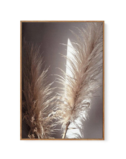 Pampas en Noir | Framed Canvas-CANVAS-You can shop wall art online with Olive et Oriel for everything from abstract art to fun kids wall art. Our beautiful modern art prints and canvas art are available from large canvas prints to wall art paintings and our proudly Australian artwork collection offers only the highest quality framed large wall art and canvas art Australia - You can buy fashion photography prints or Hampton print posters and paintings on canvas from Olive et Oriel and have them d