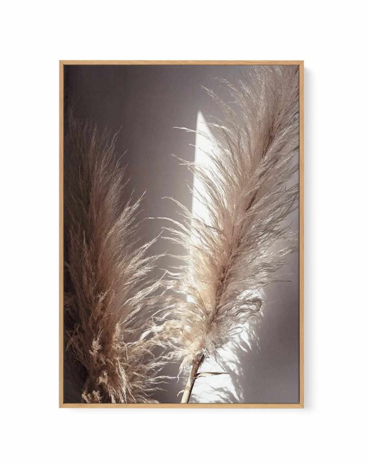 Pampas en Noir | Framed Canvas Art Print