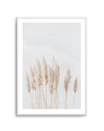 Pampas La Lumiere Art Print-PRINT-Olive et Oriel-Olive et Oriel-A5 | 5.8" x 8.3" | 14.8 x 21cm-Unframed Art Print-With White Border-Buy-Australian-Art-Prints-Online-with-Olive-et-Oriel-Your-Artwork-Specialists-Austrailia-Decorate-With-Coastal-Photo-Wall-Art-Prints-From-Our-Beach-House-Artwork-Collection-Fine-Poster-and-Framed-Artwork