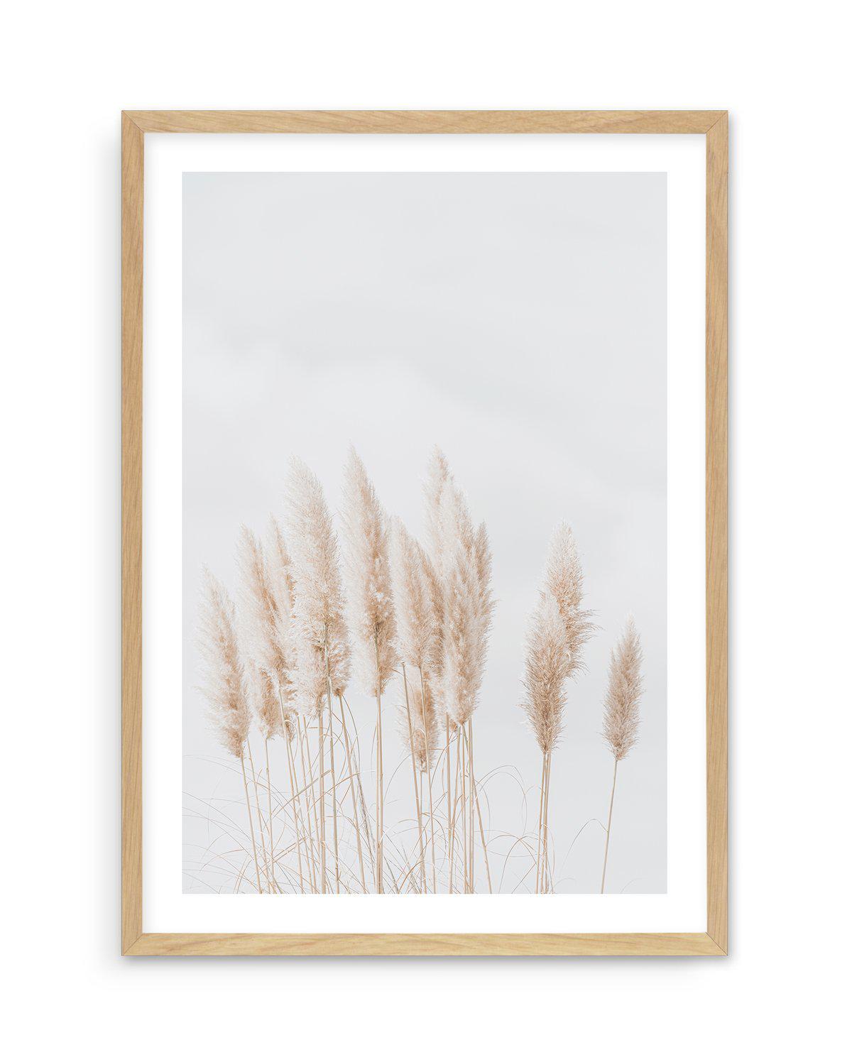 Pampas La Lumiere Art Print-PRINT-Olive et Oriel-Olive et Oriel-A5 | 5.8" x 8.3" | 14.8 x 21cm-Oak-With White Border-Buy-Australian-Art-Prints-Online-with-Olive-et-Oriel-Your-Artwork-Specialists-Austrailia-Decorate-With-Coastal-Photo-Wall-Art-Prints-From-Our-Beach-House-Artwork-Collection-Fine-Poster-and-Framed-Artwork