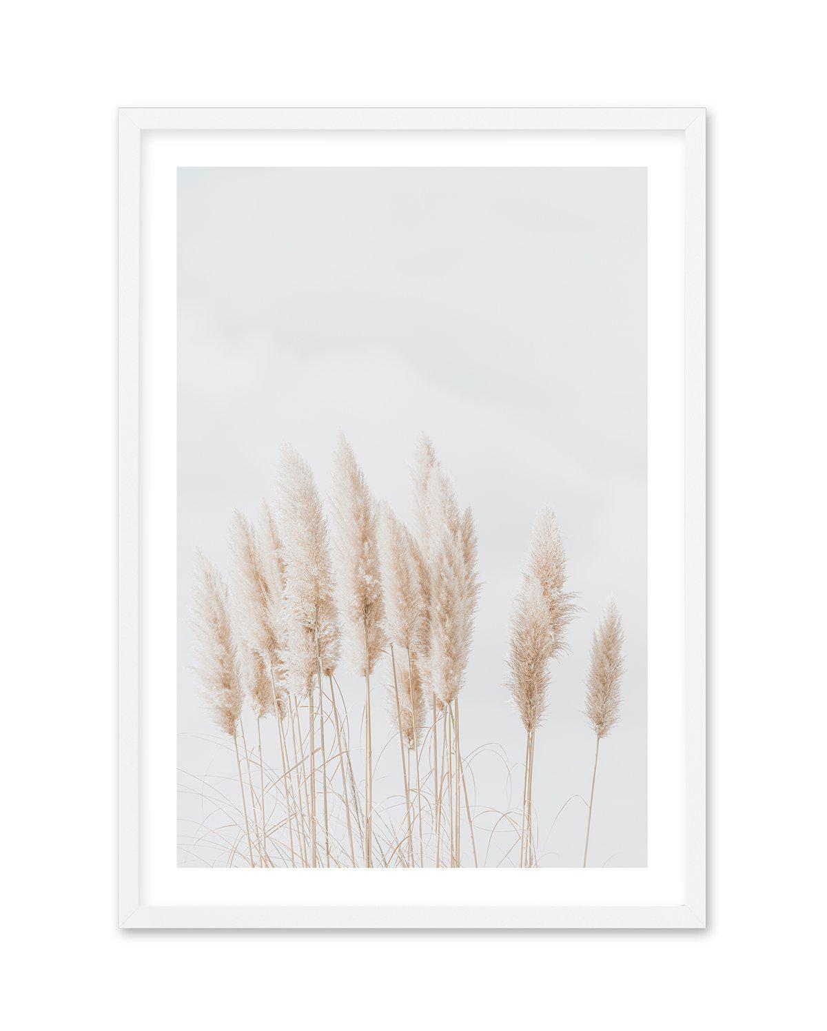 Pampas La Lumiere Art Print-PRINT-Olive et Oriel-Olive et Oriel-A5 | 5.8" x 8.3" | 14.8 x 21cm-White-With White Border-Buy-Australian-Art-Prints-Online-with-Olive-et-Oriel-Your-Artwork-Specialists-Austrailia-Decorate-With-Coastal-Photo-Wall-Art-Prints-From-Our-Beach-House-Artwork-Collection-Fine-Poster-and-Framed-Artwork