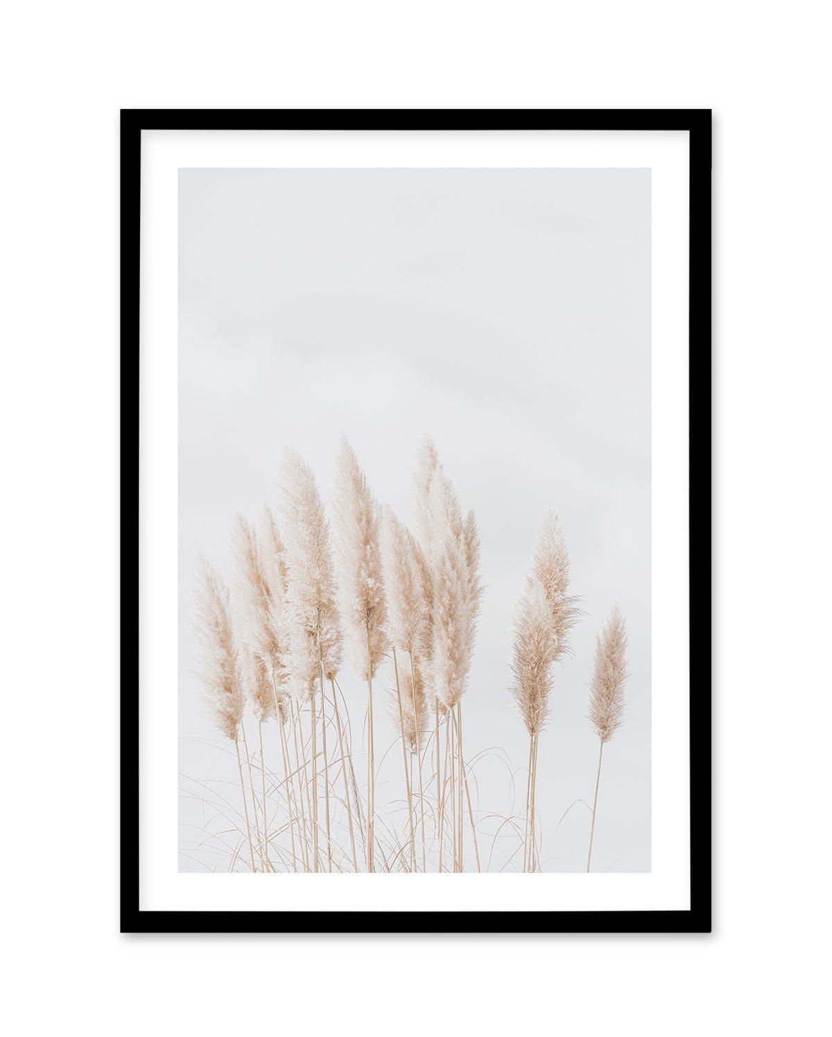 Pampas La Lumiere Art Print-PRINT-Olive et Oriel-Olive et Oriel-A5 | 5.8" x 8.3" | 14.8 x 21cm-Black-With White Border-Buy-Australian-Art-Prints-Online-with-Olive-et-Oriel-Your-Artwork-Specialists-Austrailia-Decorate-With-Coastal-Photo-Wall-Art-Prints-From-Our-Beach-House-Artwork-Collection-Fine-Poster-and-Framed-Artwork