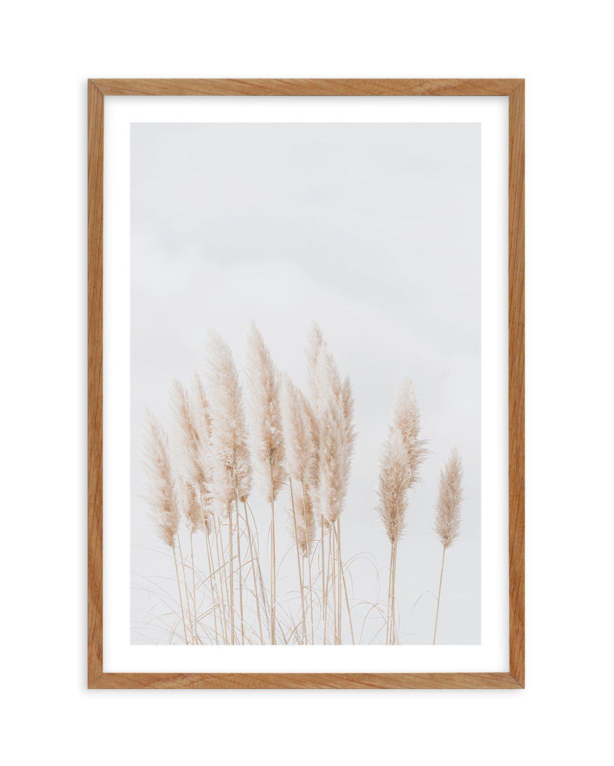 Pampas La Lumiere Art Print-PRINT-Olive et Oriel-Olive et Oriel-Buy-Australian-Art-Prints-Online-with-Olive-et-Oriel-Your-Artwork-Specialists-Austrailia-Decorate-With-Coastal-Photo-Wall-Art-Prints-From-Our-Beach-House-Artwork-Collection-Fine-Poster-and-Framed-Artwork