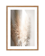 Pampas Ombres I Art Print-PRINT-Olive et Oriel-Olive et Oriel-50x70 cm | 19.6" x 27.5"-Walnut-With White Border-Buy-Australian-Art-Prints-Online-with-Olive-et-Oriel-Your-Artwork-Specialists-Austrailia-Decorate-With-Coastal-Photo-Wall-Art-Prints-From-Our-Beach-House-Artwork-Collection-Fine-Poster-and-Framed-Artwork
