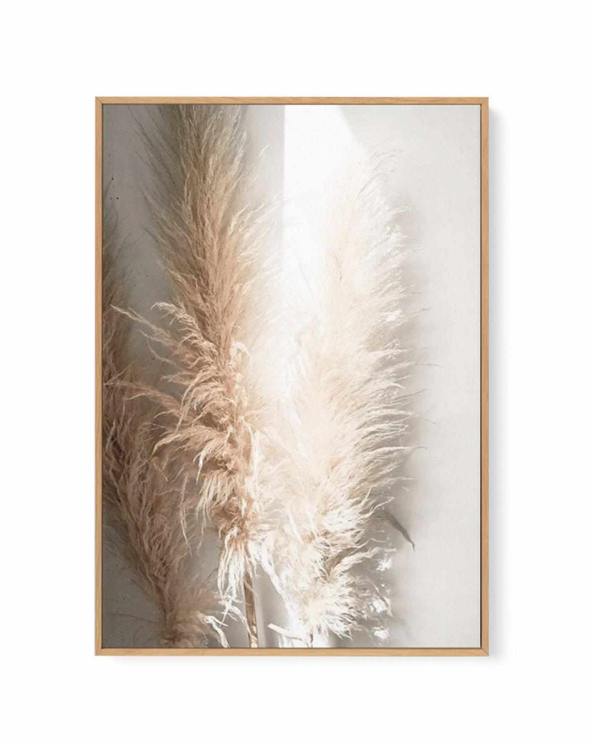 Pampas Ombres I | Framed Canvas