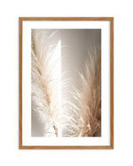 Pampas Ombres II Art Print-PRINT-Olive et Oriel-Olive et Oriel-50x70 cm | 19.6" x 27.5"-Walnut-With White Border-Buy-Australian-Art-Prints-Online-with-Olive-et-Oriel-Your-Artwork-Specialists-Austrailia-Decorate-With-Coastal-Photo-Wall-Art-Prints-From-Our-Beach-House-Artwork-Collection-Fine-Poster-and-Framed-Artwork