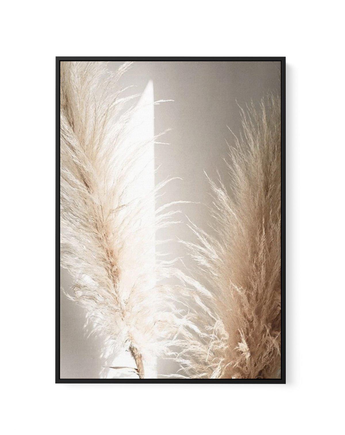 Pampas Ombres II | Framed Canvas-CANVAS-You can shop wall art online with Olive et Oriel for everything from abstract art to fun kids wall art. Our beautiful modern art prints and canvas art are available from large canvas prints to wall art paintings and our proudly Australian artwork collection offers only the highest quality framed large wall art and canvas art Australia - You can buy fashion photography prints or Hampton print posters and paintings on canvas from Olive et Oriel and have them